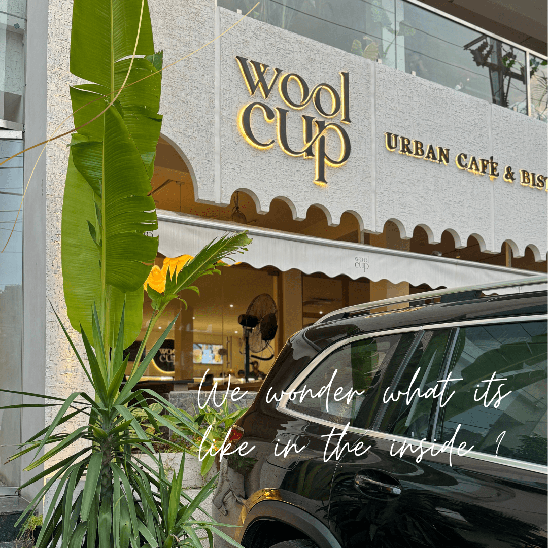 Wool Cup ~ Filmnagar